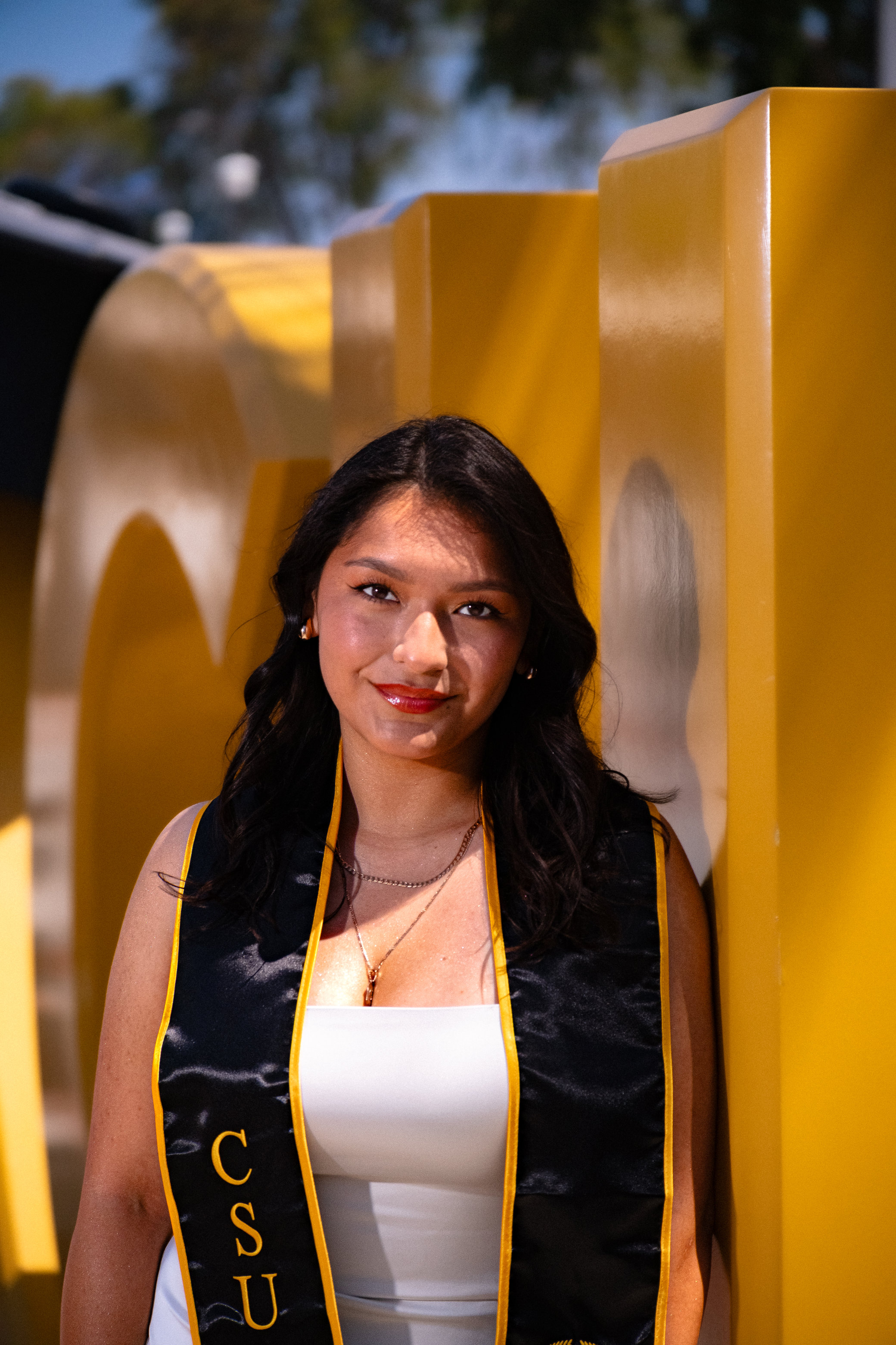 Graduate standing agasint letters